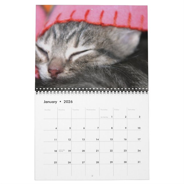 Calendário Gatinhos, gatinhos! (Jan 2026)