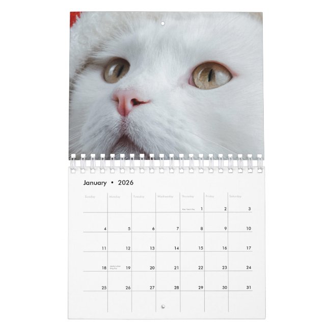 Calendário Gato (Jan 2026)