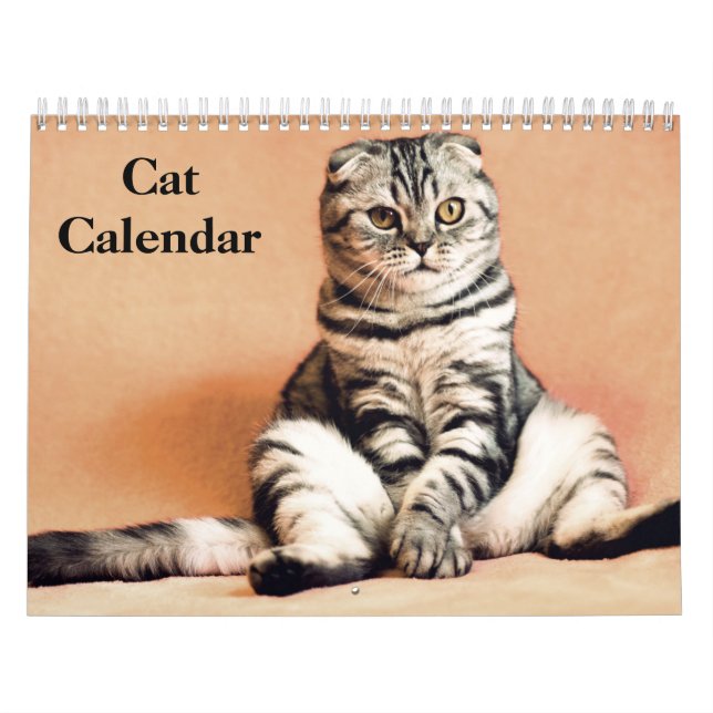 Calendário Gato Bengala 2025 (Capa)