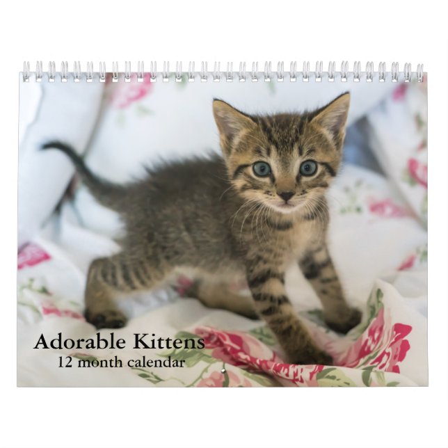 Calendário Gato de 2026 Gatinhos Adoráveis Doze Meses (Capa)