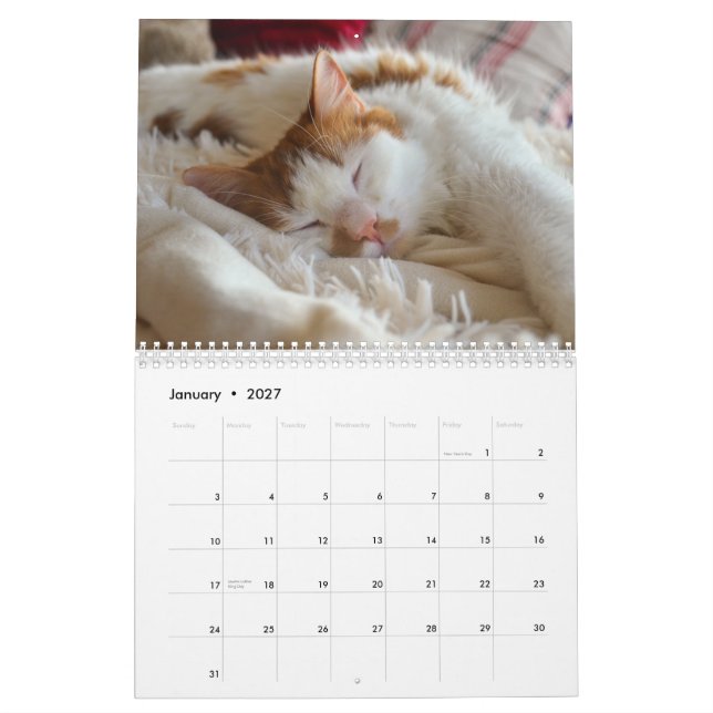Calendário Gato e Kitten 2023 (Jan 2027)