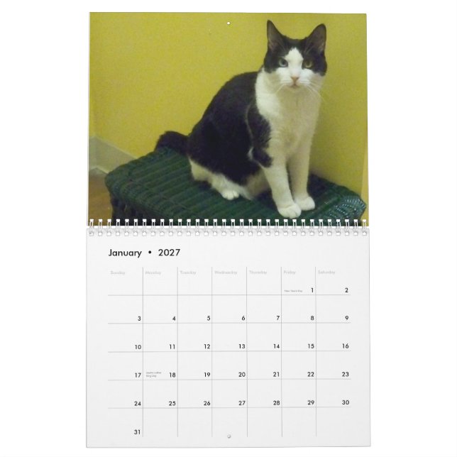 Calendário Gato "Molly " do smoking (Jan 2027)