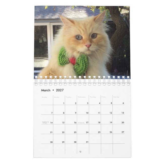 Calendário Gato Siberian da floresta (Mar 2027)