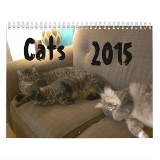 Calendário Gatos 2015 Marlowe, Peepers & Gryphon