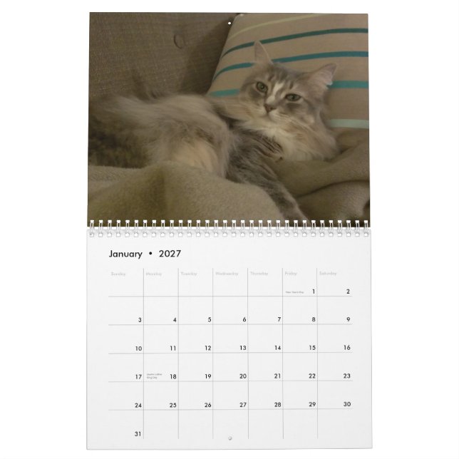 Calendário Gatos 2015 Marlowe, Peepers & Gryphon (Jan 2027)