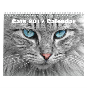 Calendário Gatos 2017