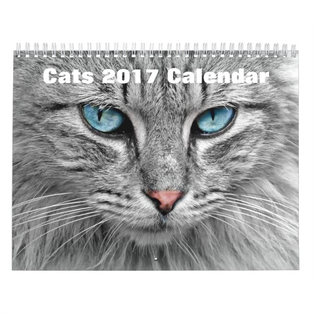 Calendário Gatos 2017 (Capa)