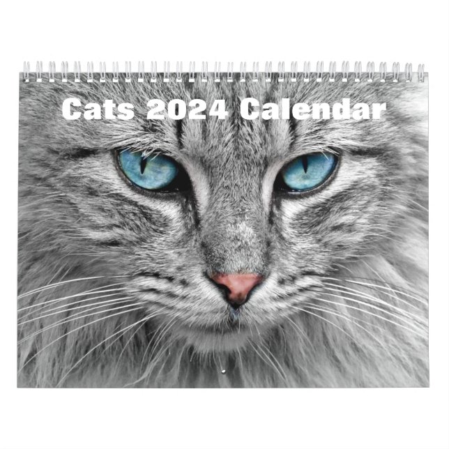 Calendário Gatos 2024 (Capa)