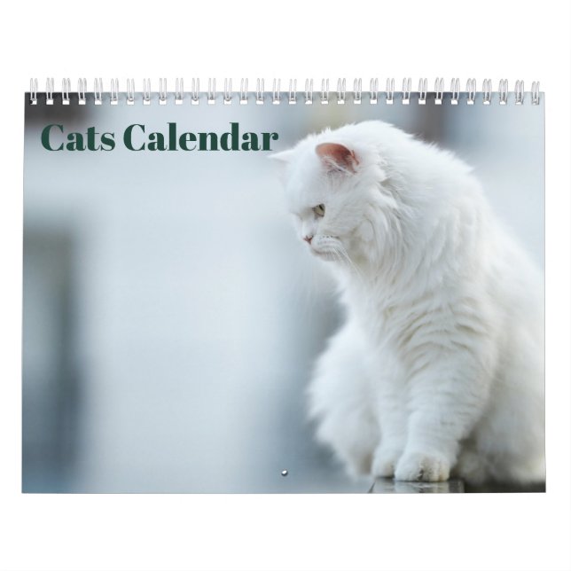 Calendário Gatos 2027 (Capa)