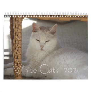 Calendário Gatos brancos 2021