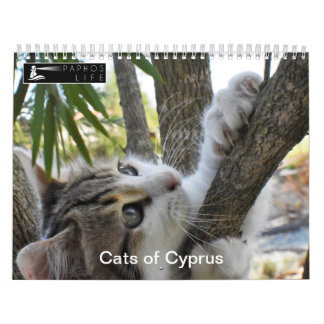 Calendário Gatos de Chipre por PaphosLife