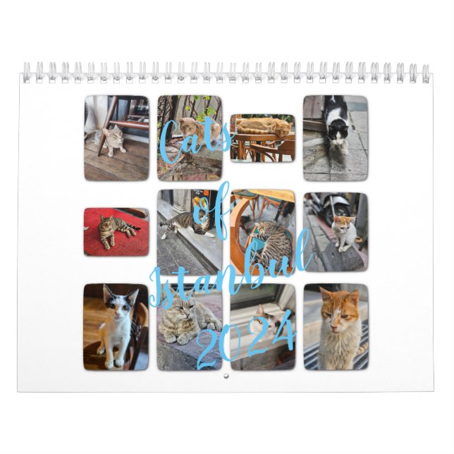 Calendário Gatos de Istambul (Capa)