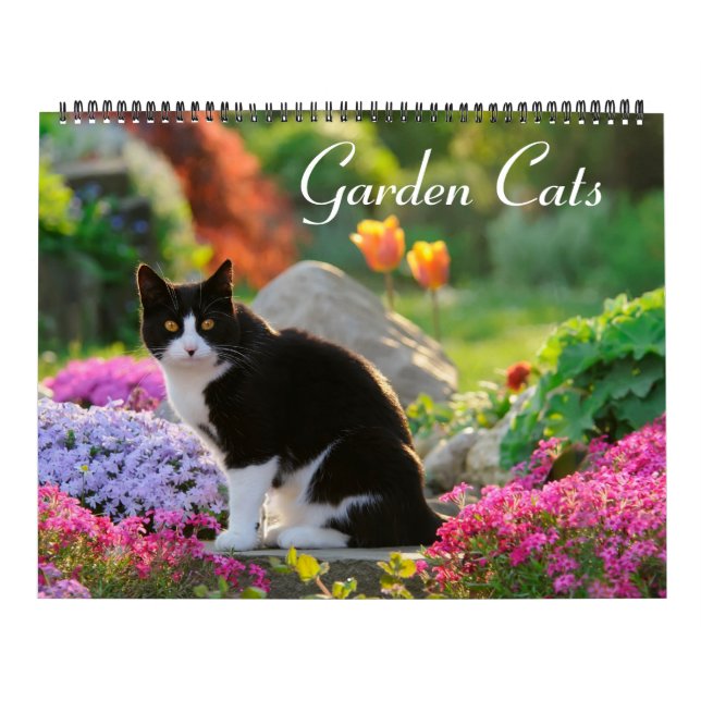 Calendário Gatos de Jardim - tamanho grande (Capa)