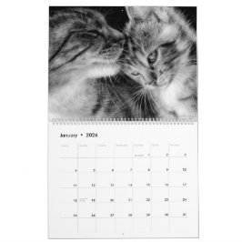 Calendário Gatos Desenhados À Mão Selvagens e Felinos Domésti