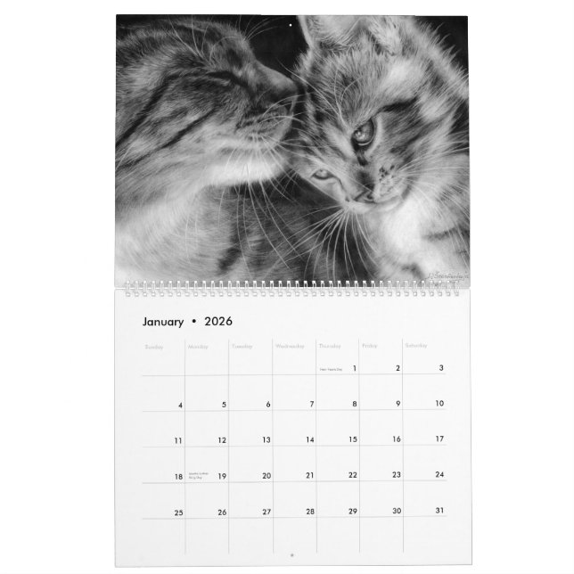 Calendário Gatos Desenhados À Mão Selvagens e Felinos Domésti (Jan 2026)
