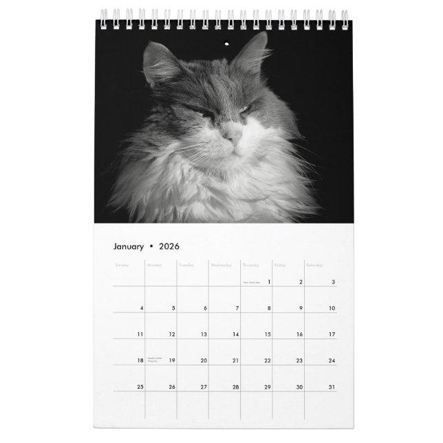 Calendário Gatos do DJ Uma Página (Jan 2026)