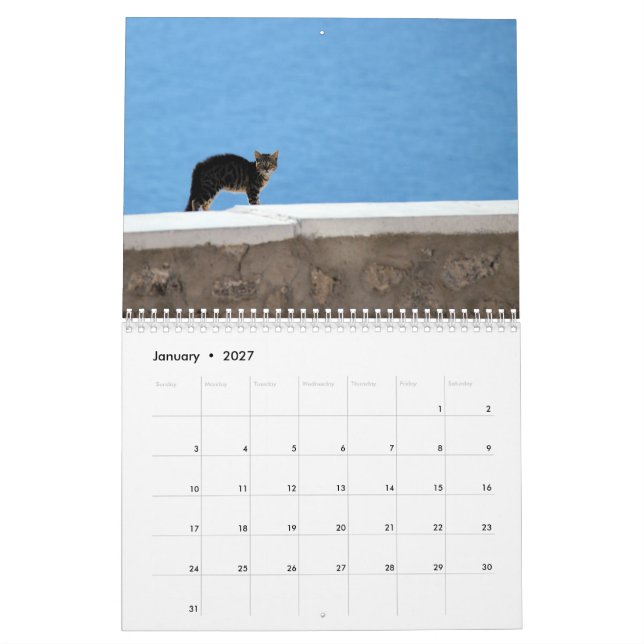 Calendário Gatos do gatinho da piscina (Jan 2027)