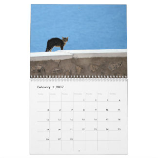 Calendário Gatos do gatinho da piscina