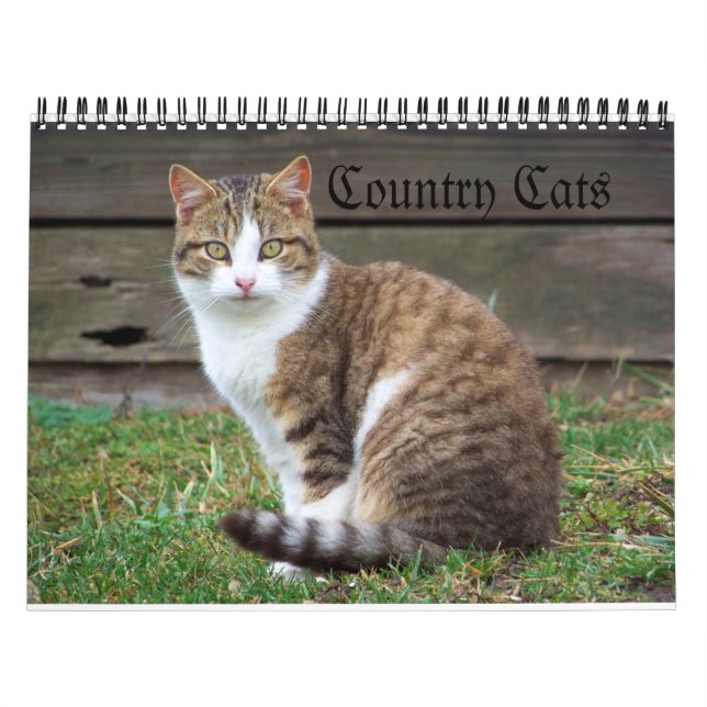 Calendário Gatos do País (Capa)