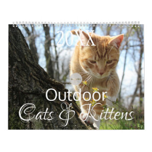 Calendário Gatos e Gatinhos ao Ar Livre HAMbWG