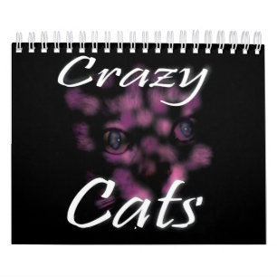 Calendário Gatos e gatinhos loucos,