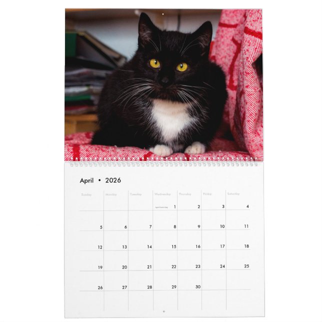 Calendário Gatos e Gatinhos Pretos e Brancos Gatinhos Gatinho (Abr 2026)