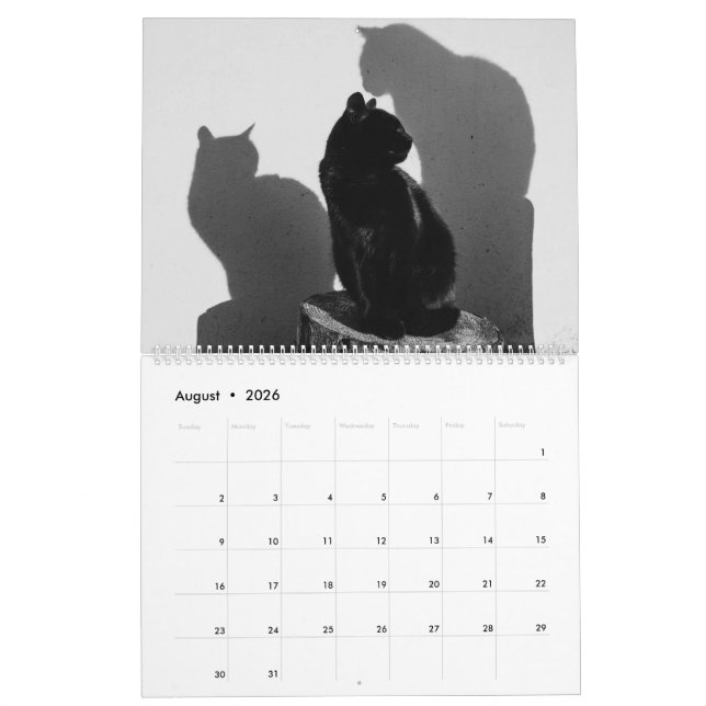 Calendário Gatos e Gatinhos Pretos Gatinhos Gatinhos Gatinhos (Ago 2026)