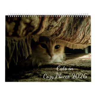 Calendário Gatos em Lugares Aconchegantes 2026