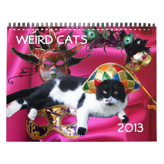 CALENDÁRIO GATOS ESTRANHOS 2013 (Capa)
