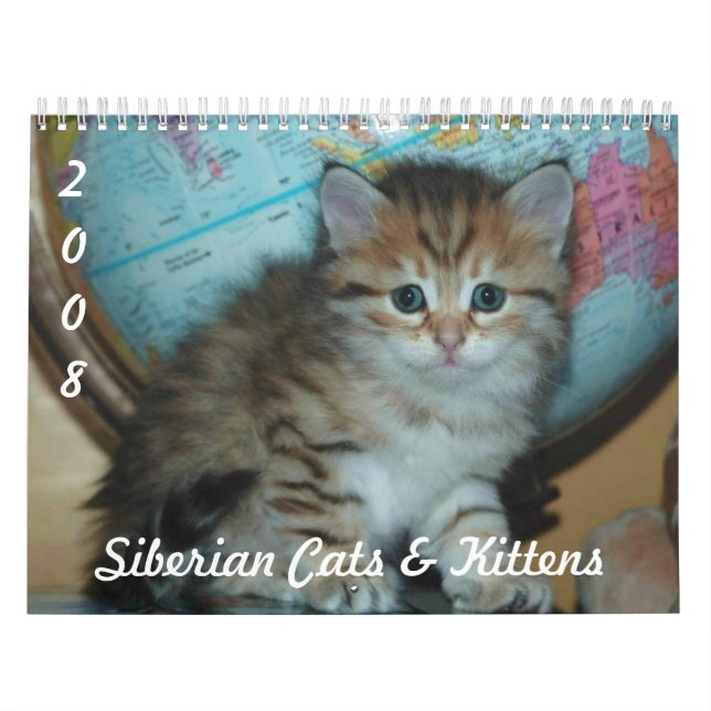 Calendário GATOS & GATINHOS Siberian CAL2008 (Capa)