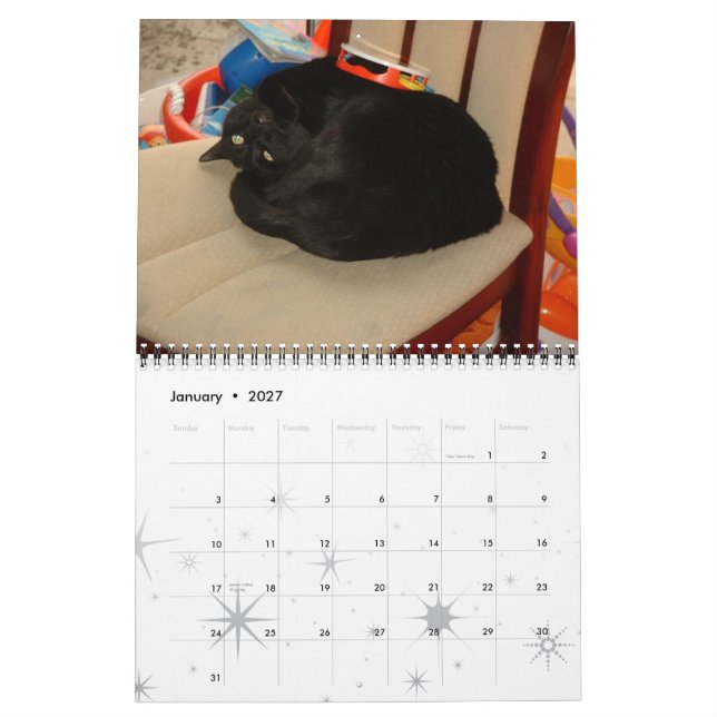 Calendário Gatos, Gatos Gloriosos (Jan 2027)