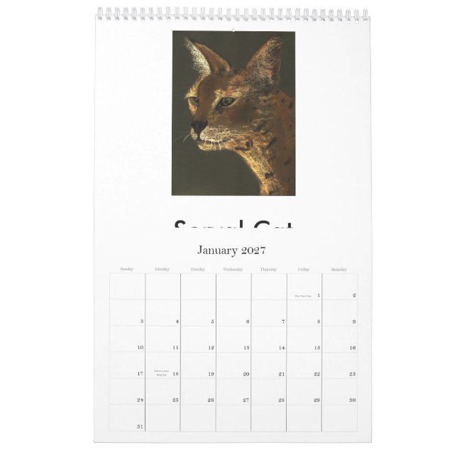 Calendário Gatos grandes pstos em perigo (Jan 2027)