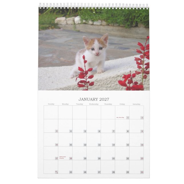 Calendário Gatos gregos (Jan 2027)