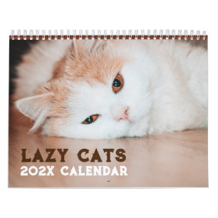 Calendário Gatos Preguiçosos Engraçados 2027