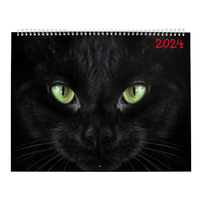 Calendário gatos pretos (Capa)