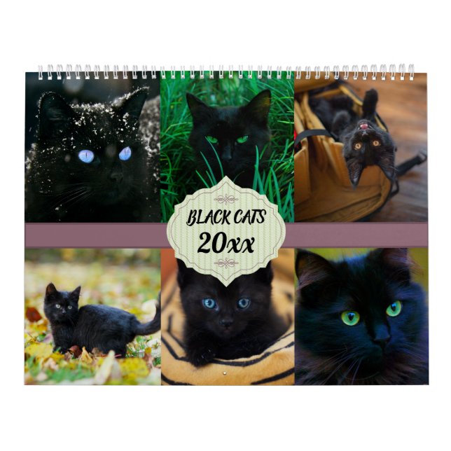 Calendário Gatos Pretos (Capa)