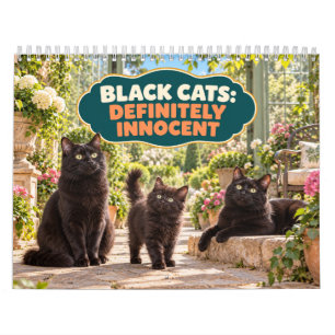 Calendário Gatos Pretos Engraçados Definitivamente Inocentes
