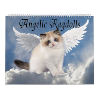 Calendário Gatos Ragdoll Angelicais