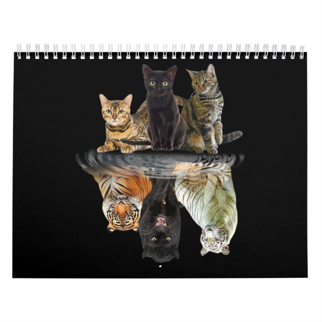Calendário Gatos Refletem Amigos De Gato Bonitos Tigre (Capa)