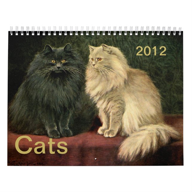 Calendário Gatos Siamese persas 2012 de Tom do gato malhado (Capa)