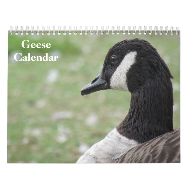 Calendário Geese 2025 (Capa)
