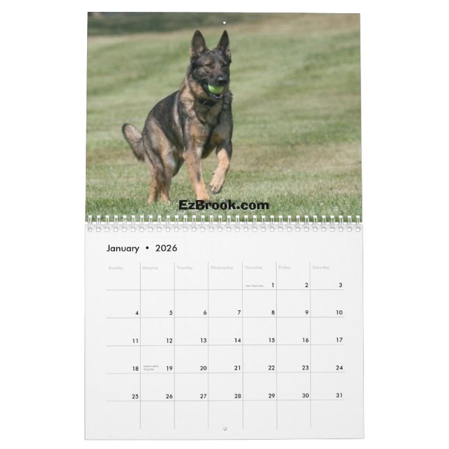 Calendário German shepherd na ação (Jan 2026)