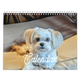Calendário Gilbert 2025