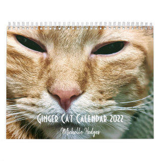 Calendário Ginger Cat Wall Calendar 2022