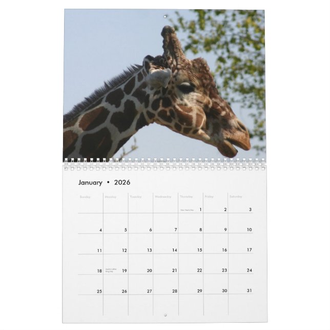 Calendário Girafa 2010 (Jan 2026)