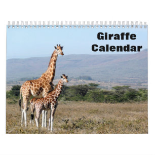 Calendário Girafa 2027