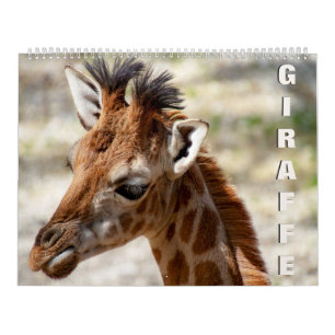 Calendário Girafa Calendar