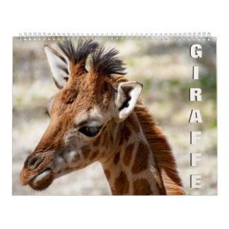 Calendário Girafa Calendar