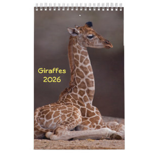 Calendário Girafas