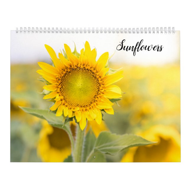 Calendário Girassóis (Capa)